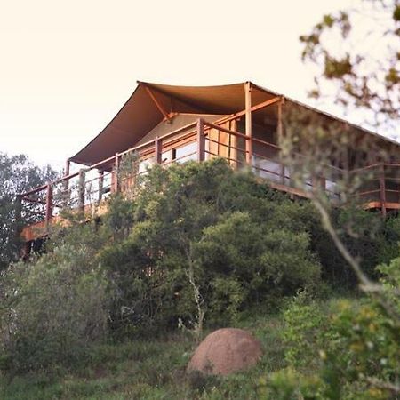 Addo Elephant Lodge & Safaris Kirkwood エクステリア 写真