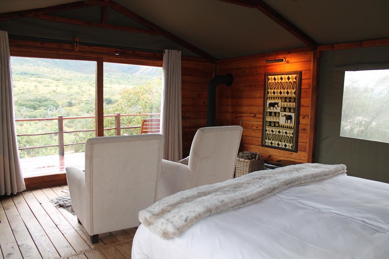 Addo Elephant Lodge & Safaris Kirkwood エクステリア 写真