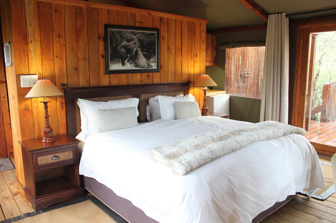 Addo Elephant Lodge & Safaris Kirkwood エクステリア 写真