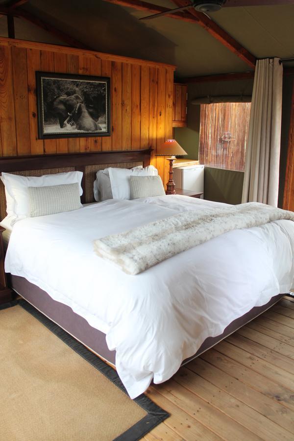Addo Elephant Lodge & Safaris Kirkwood 部屋 写真