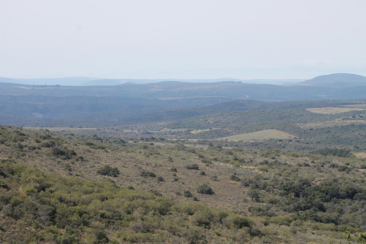 Addo Elephant Lodge & Safaris Kirkwood エクステリア 写真