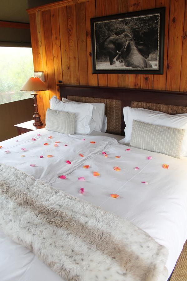 Addo Elephant Lodge & Safaris Kirkwood エクステリア 写真