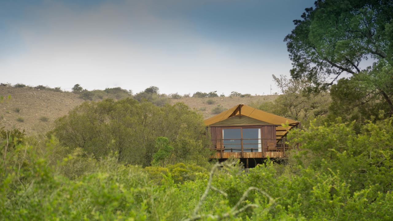 Addo Elephant Lodge & Safaris Kirkwood エクステリア 写真