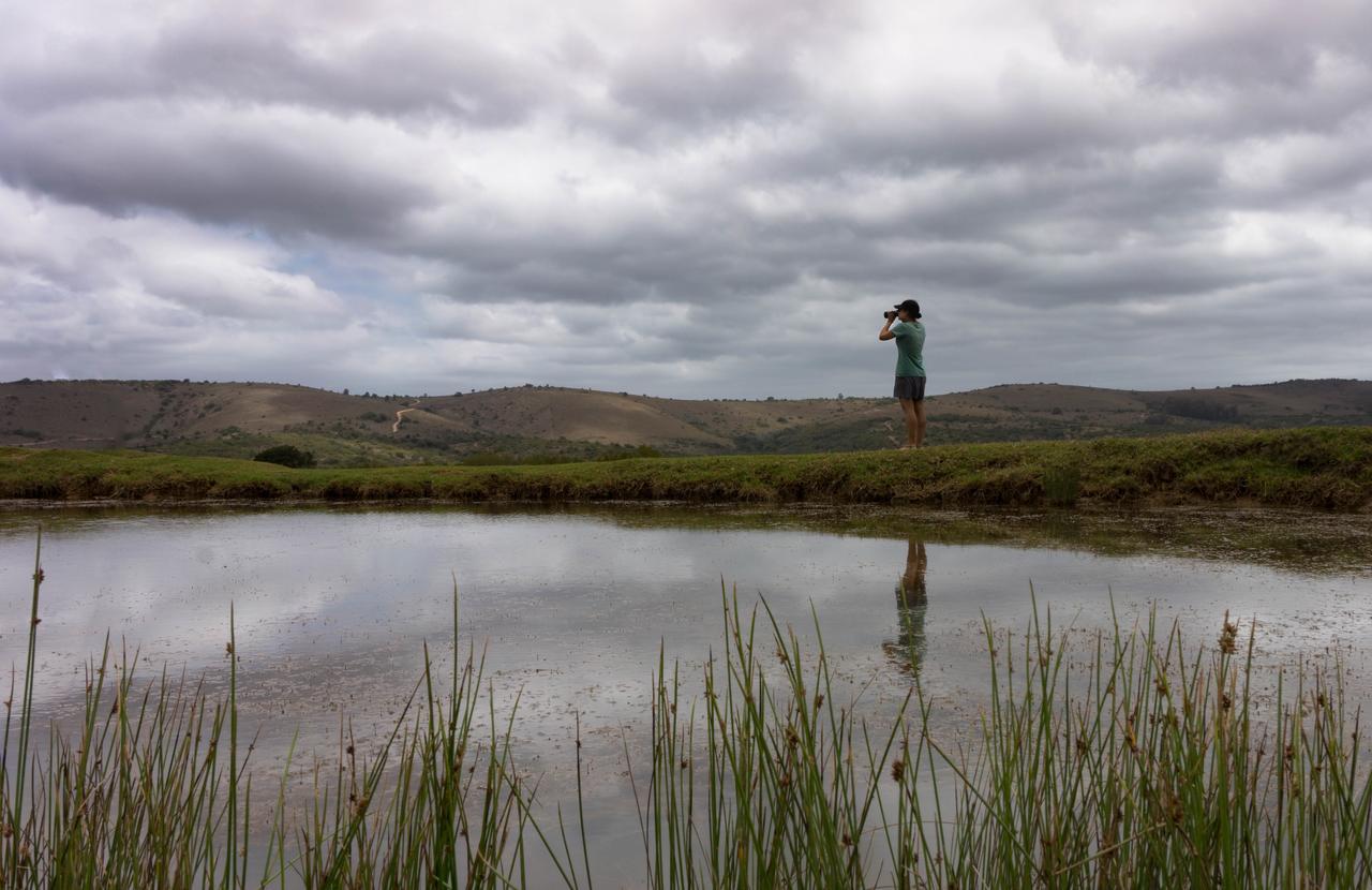Addo Elephant Lodge & Safaris Kirkwood エクステリア 写真