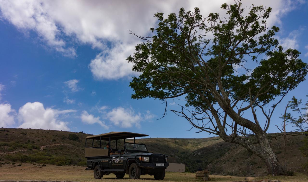 Addo Elephant Lodge & Safaris Kirkwood エクステリア 写真