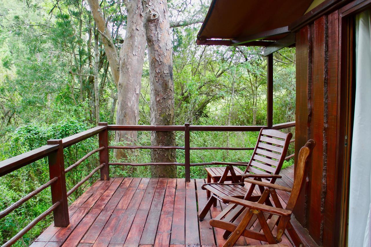Addo Elephant Lodge & Safaris Kirkwood エクステリア 写真