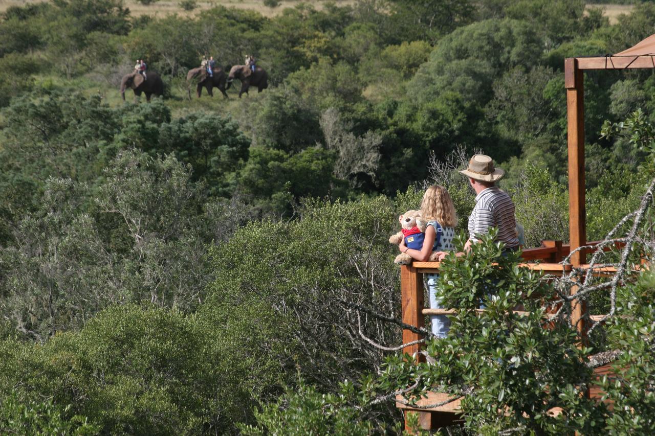 Addo Elephant Lodge & Safaris Kirkwood エクステリア 写真