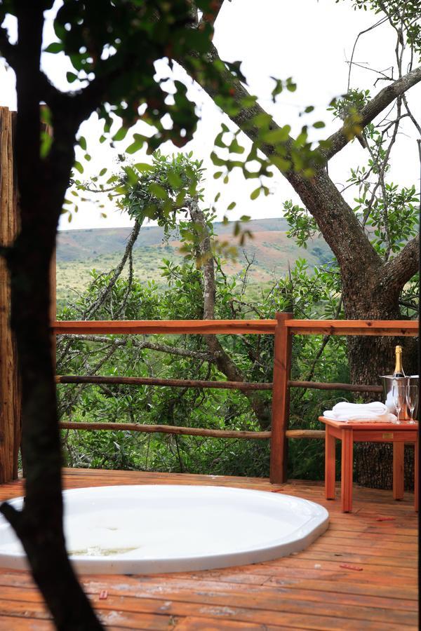 Addo Elephant Lodge & Safaris Kirkwood エクステリア 写真
